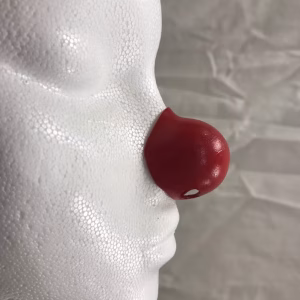 Jim Howle Noses - BB2  BB3