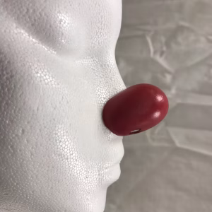 Jim Howle Noses E2 E3