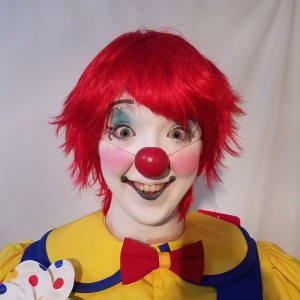 Jinx Clown Wig