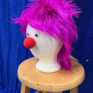 Spiky Clown Wig